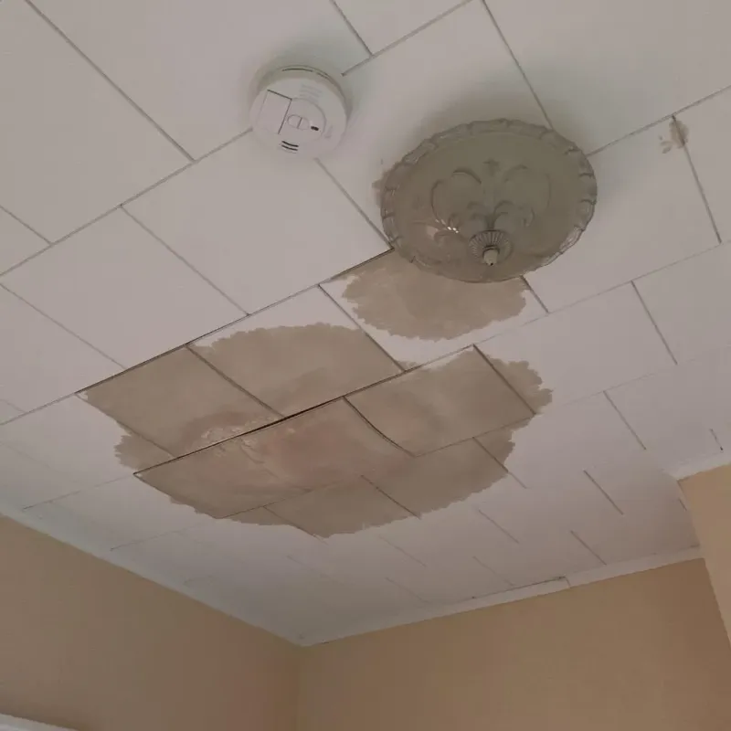 Ceiling Water Damage Repair in Tionesta, PA