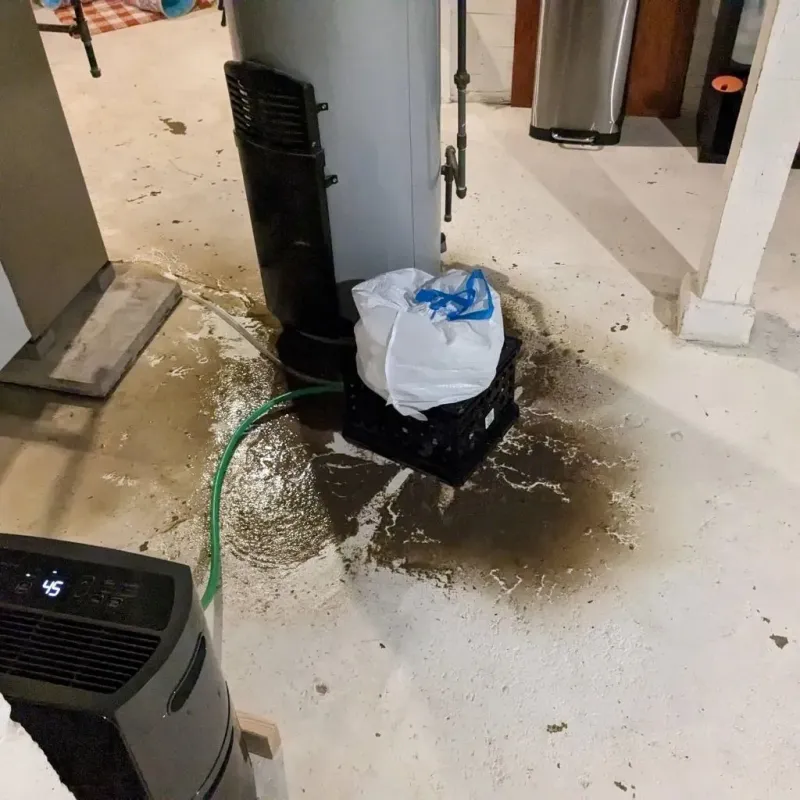 Sewage Backup Cleanup Service in Tionesta, PA